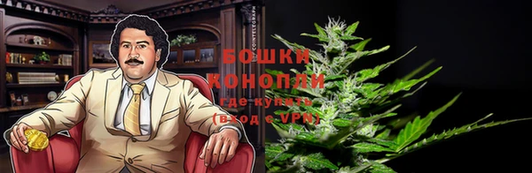 apvp Богородск