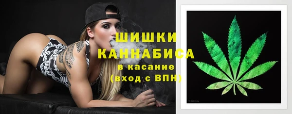 молекула духа Беломорск