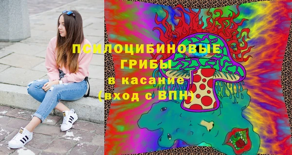 соль курить ск Богородицк