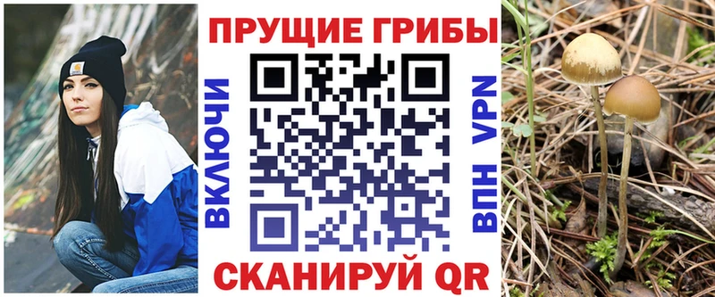 Галлюциногенные грибы мухоморы  Реж 