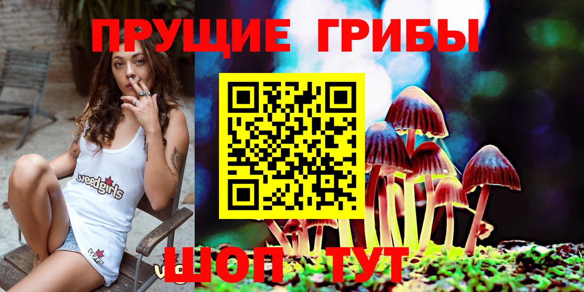 Псилоцибиновые грибы Psilocybe Реж