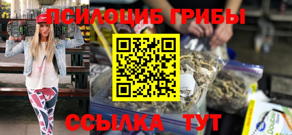 Галлюциногенные грибы мухоморы  Псилоцибиновые грибы прущие грибы  Реж  Вход с VPN 